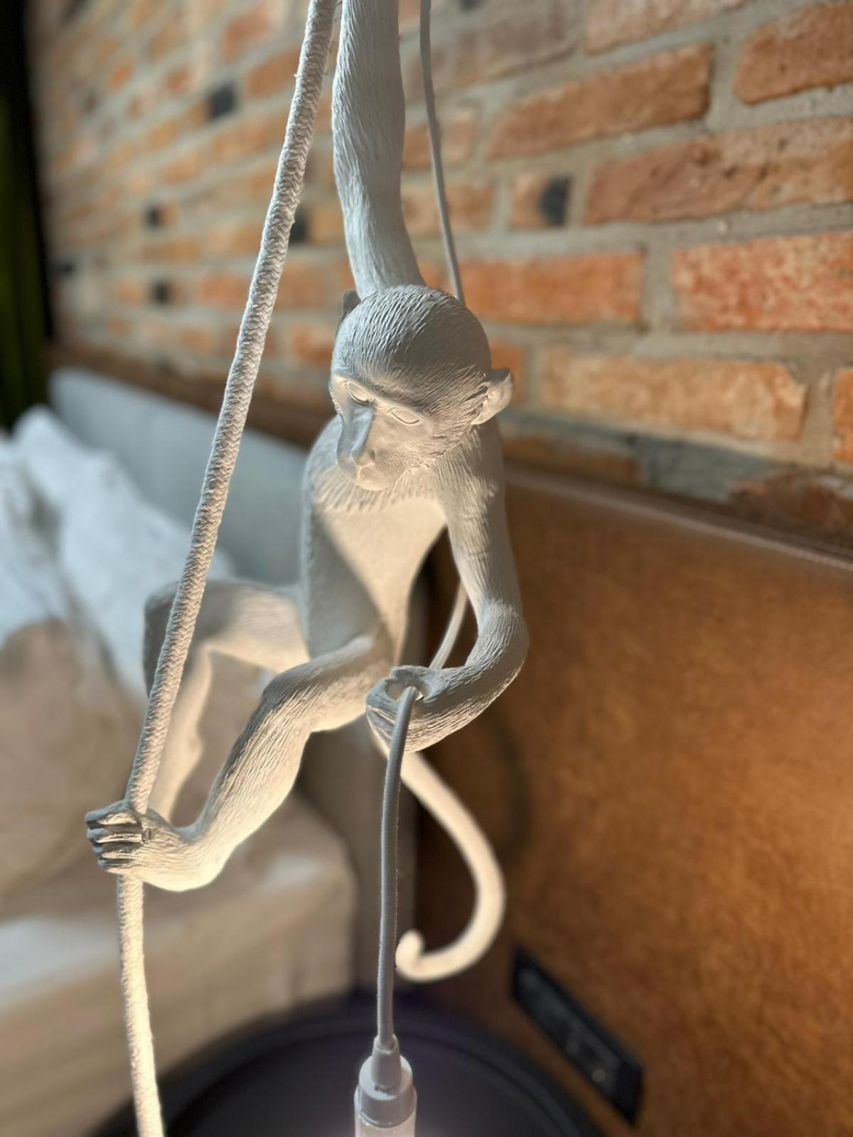 Nani Nani Boutique Hotel Brassó Kültér fotó
